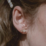 puces d'oreilles pierre de lune blanche